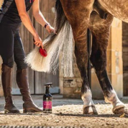 Lotion crinière et queue Canter® Carr & Day & Martin