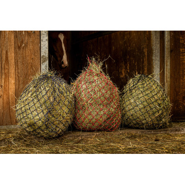 Hooinet Hippotonic Zari