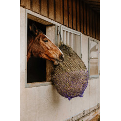 Hooinet Hippotonic Fijn Zwart / paars