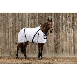 Chemise Equithème Mesh blanc