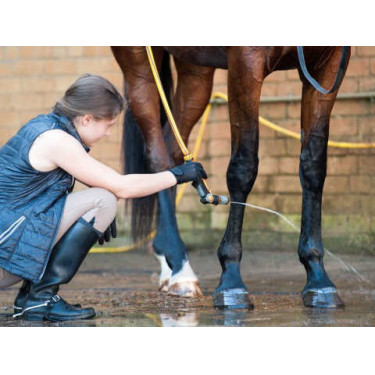 Shampoo Animaderm Tea Tree