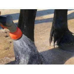 Shampooing Animaderm Tea Tree