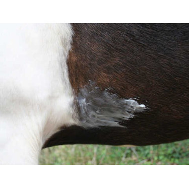 Balsem Animaderm Natjely