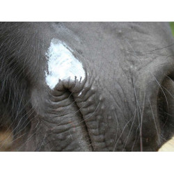 Balsem Animaderm Natjely