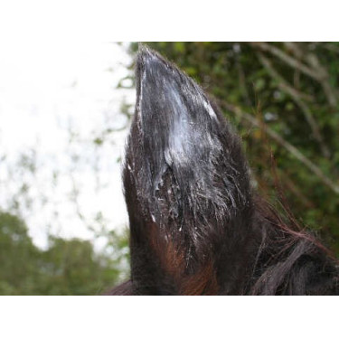 Balsem Animaderm Natjely