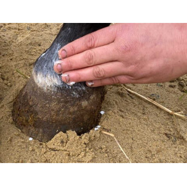 Balsem Animaderm Natjely