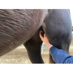 Balsem Animaderm Natjely