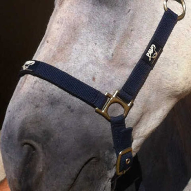 Régénérant Animaderm Cutene Régénérant Animaderm Cutene