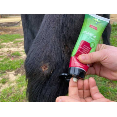 Régénérant Animaderm Cutene Régénérant Animaderm Cutene