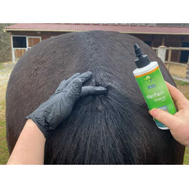 Lotion Animaderm Origineel