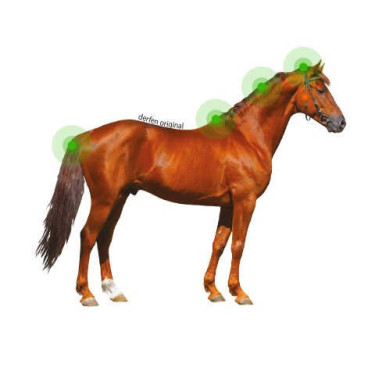 Lotion Animaderm Origineel