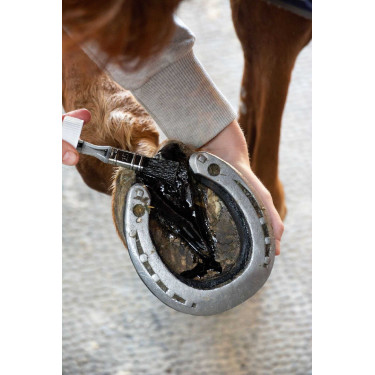 Oplaad Alodis Care Vork Clean