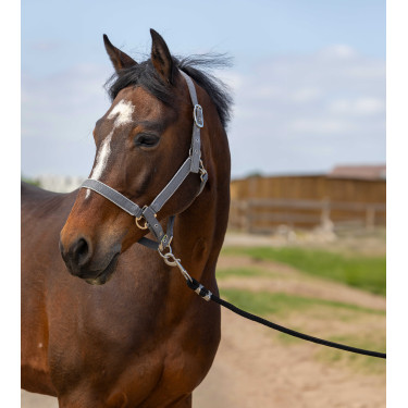 Halster Equithème Nylon light Grijs