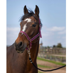 Halster Equithème Nylon light