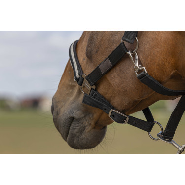 Halster Equithème Nylon Chevron Zwart