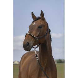 Licol Equithème Nylon Chevron Marron