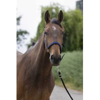 Halster Norton Satijn Zwart