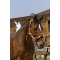 Halster Norton Satijn Zwart