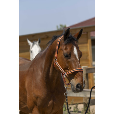 Halster Norton Satijn Koraal / zwart Rood