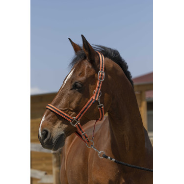 Halster Norton Satijn Koraal / zwart Rood