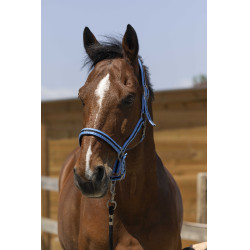 Licol Norton Satine Bleu ciel / noir