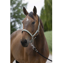 Licol Norton Satine Olive Vert