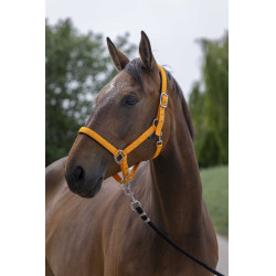 Halster Norton Satijn Oranje