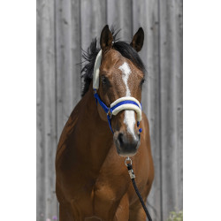 Halster Riding World synthetische schapenvacht Koningsblauw