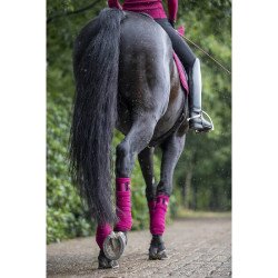 Bandes de polo Loire LeMieux Mûre Bordeaux