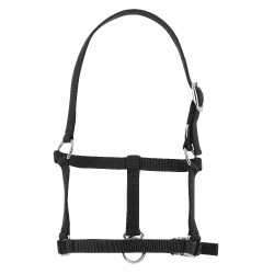 Halster veulen Riding World Zwart