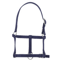 Halster veulen Riding World Marineblauw