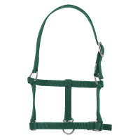 Licol foal Riding World Vert foncé Licol foal Riding World Vert foncé