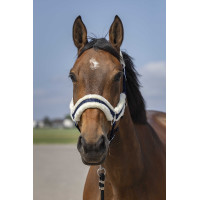 Licol Equithème Nylon Mouton Marine / blanc Bleu