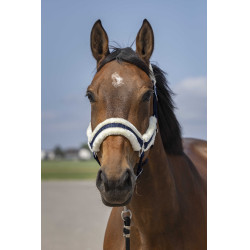 Licol Equithème Nylon Mouton Marine / blanc Bleu