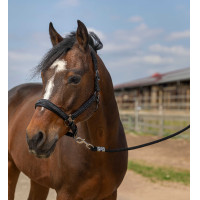 Halster Equithème Nylon Strass