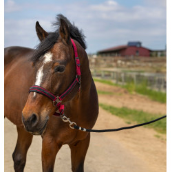 Halster Equithème Nylon Strass Bordeaux