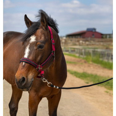 Licol Equithème Nylon Strass Bordeaux Licol Equithème Nylon Strass Bordeaux