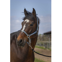 Halster Norton Nylon Soft Donkergroen