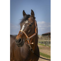 Halster Norton Nylon Soft Oranje