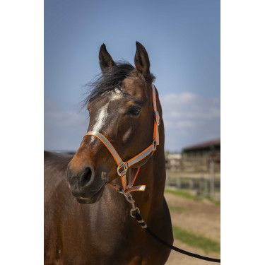 Halster Norton Nylon Soft Oranje Halster Norton Nylon Soft Oranje