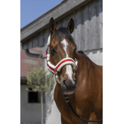 Licol Norton Cosy Rouge