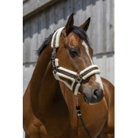 Licol Norton Cosy Chocolat Marron