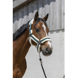 Licol Norton Cosy Vert foncé Licol Norton Cosy Vert foncé