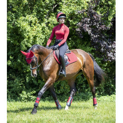 Bonnet anti-mouches LeMieux Classic Chilli Rouge