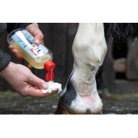 Lotion nettoyante Leovet Lotion nettoyante Leovet