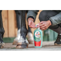 Verfrissende Gel Leovet Aloe Vera Verfrissende Gel Leovet Aloe Vera