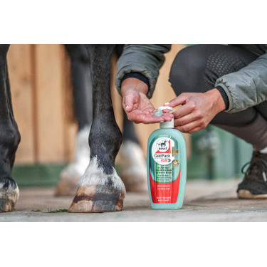 Verfrissende Gel Leovet Aloe Vera