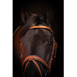 Bridon Pénélope Elégance Cognac Marron