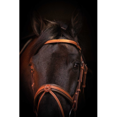 Bridon Pénélope Elégance Cognac Marron