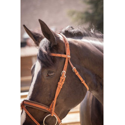 Bridon Pénélope Elegantie Cognac Bruin